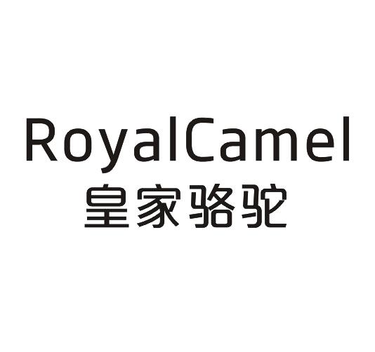 皇家骆驼royalcamel
